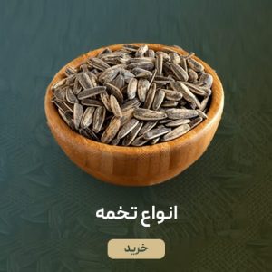 انواع تخمه آفتابگردان با طعم های مختلف