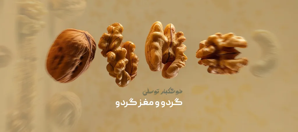 عکس گردو خشکبار توسلی
