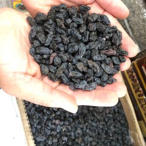 فروش مویز خارجی درجه یک