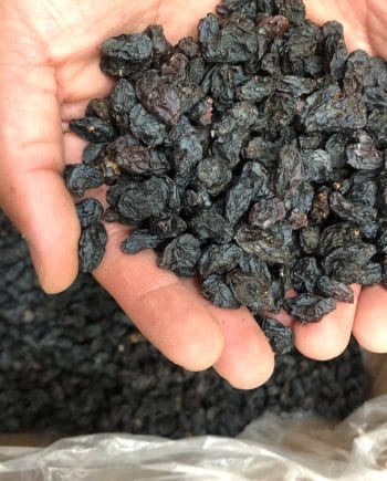 فروش مویز ایرانی درجه یک اورگانیک